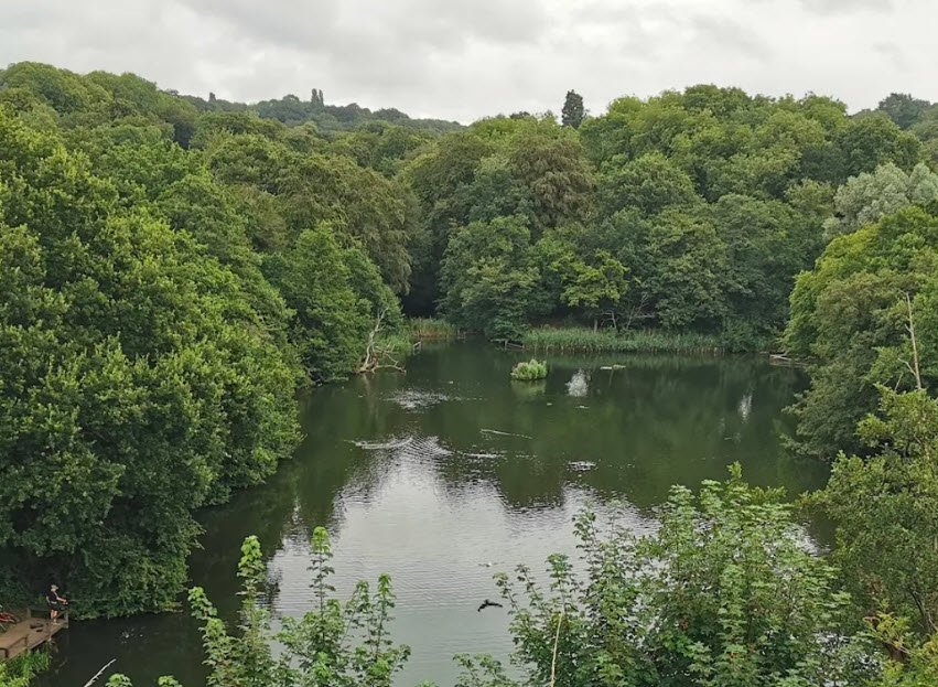 Leasowes Park, United Kingdom